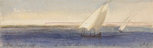 Cerca de Nesle Sheikh Hassan, mirando al sur de Edward Lear